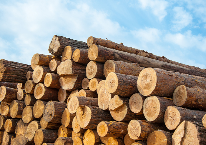 A pile of timber