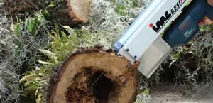 IML Resistograph being used on a tree