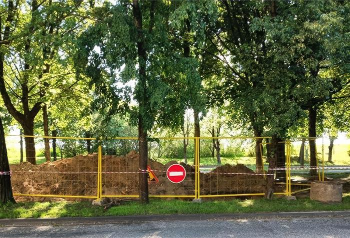 cordoned off trees